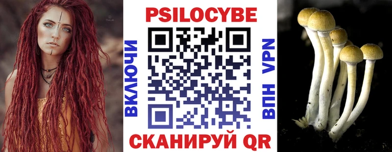 Галлюциногенные грибы Psilocybe  Купить закладки  Тихвин 